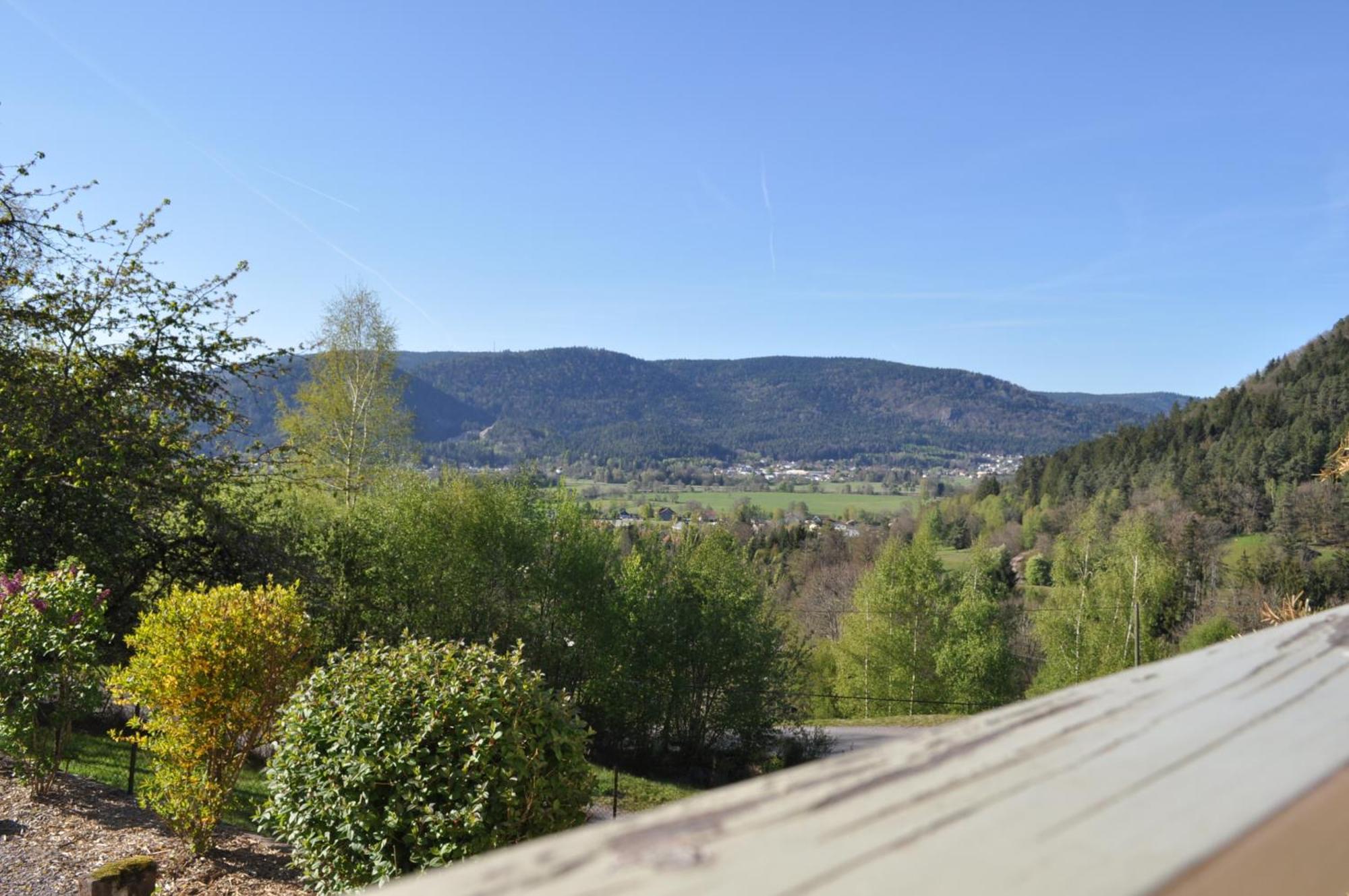 A L'Oree Du Bois Dommartin-les-Remiremont Номер фото